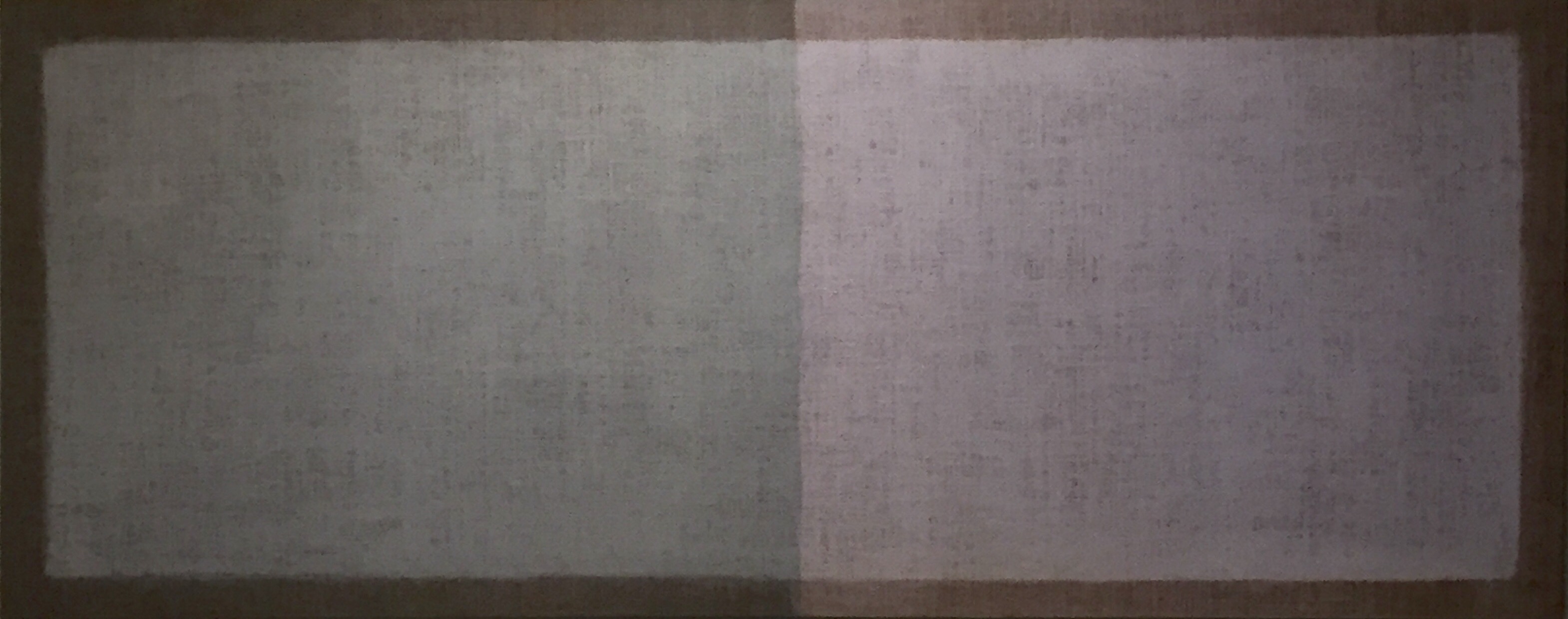 Amélia Toledo 2004 80x200.jpg