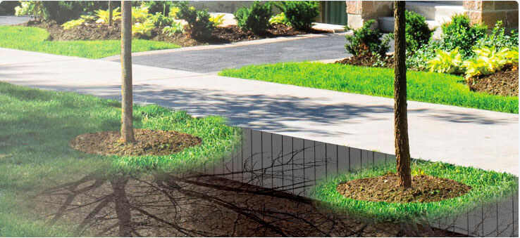 Barreiras de Água e Raiz