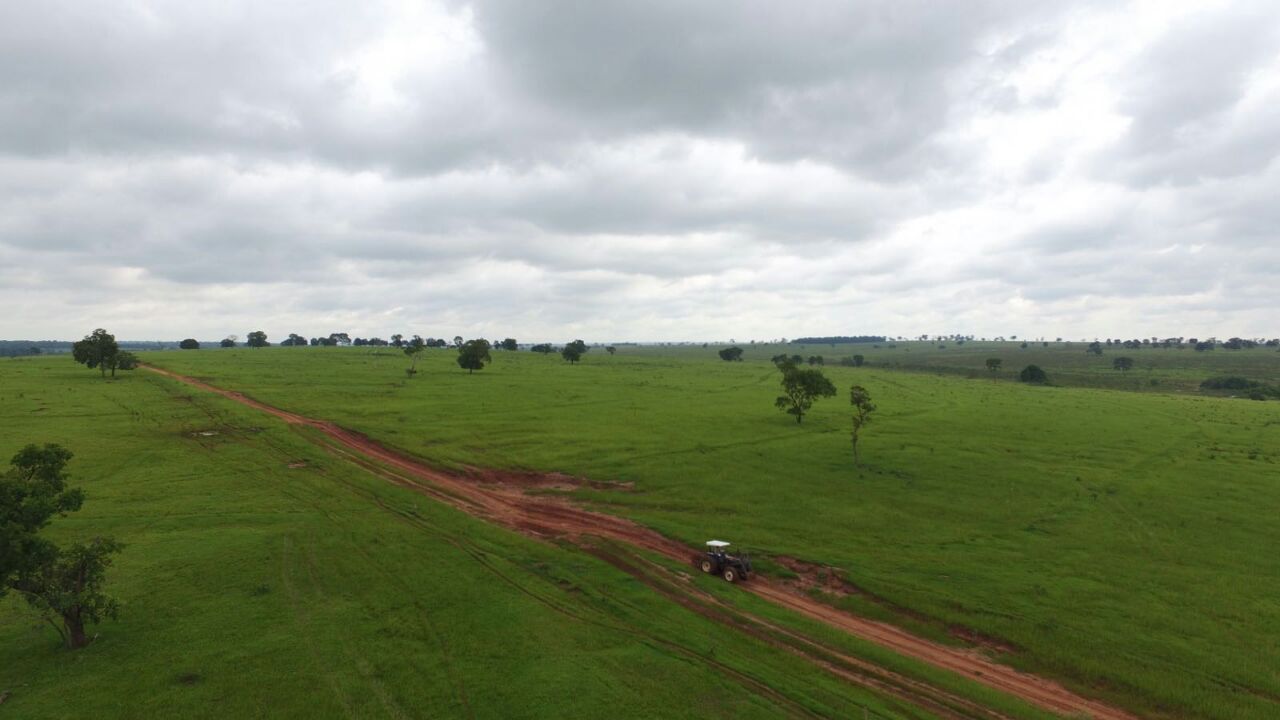 WhatsApp Image 2017-03-21 at 16.13.27.jpeg