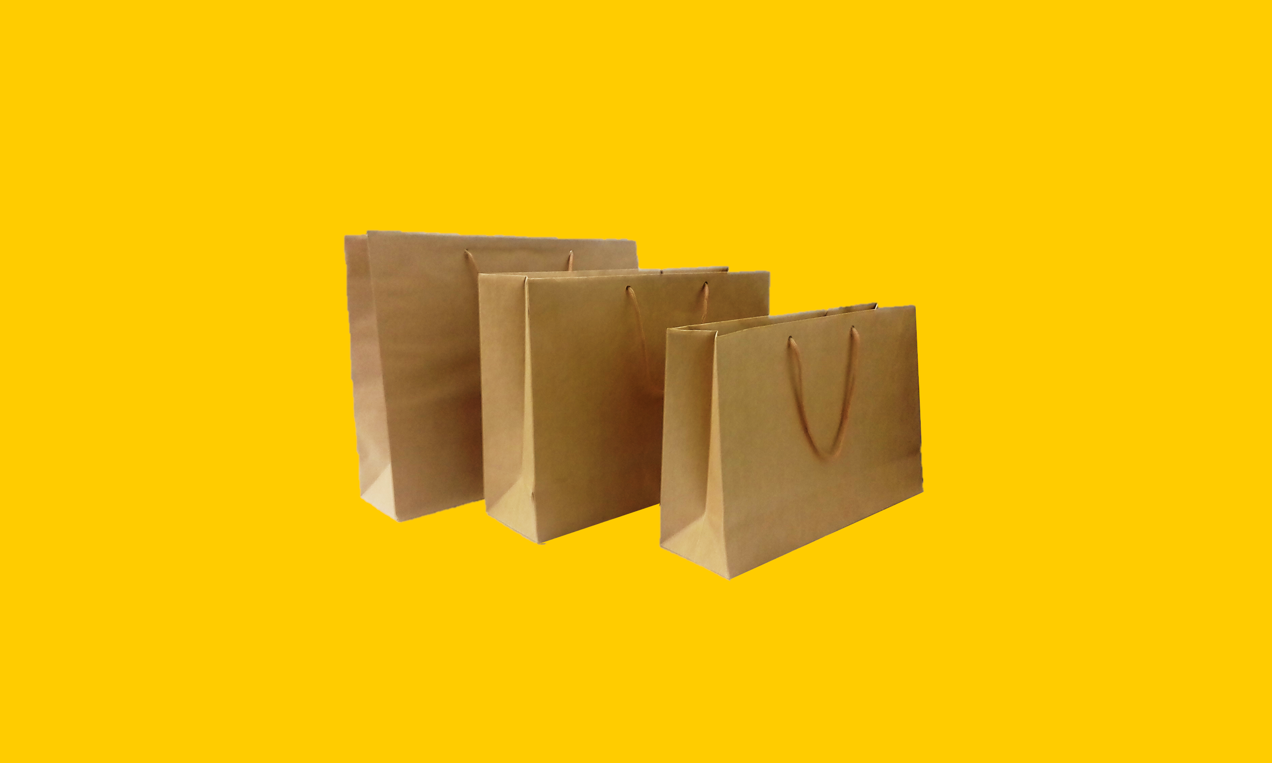 Bolsa Horizontal Kraft (Pequena, Média e Grande).png