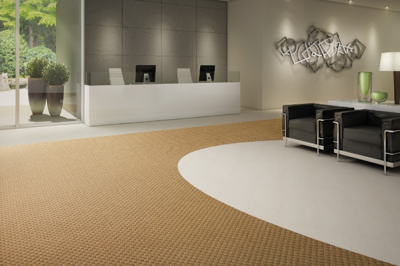 0 imagem principal 2.jpg