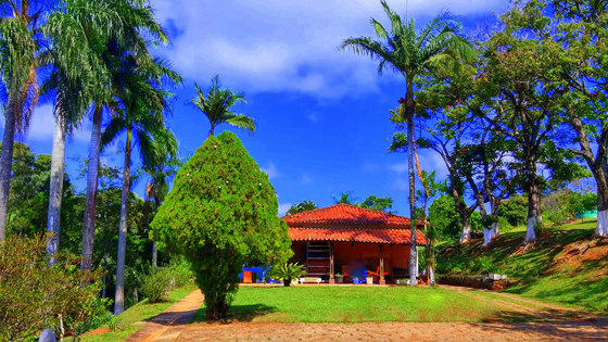 Clinica de recuperação de dependente químico em Atibaia.