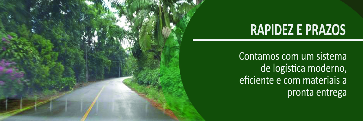 Testeira rapidez.jpg