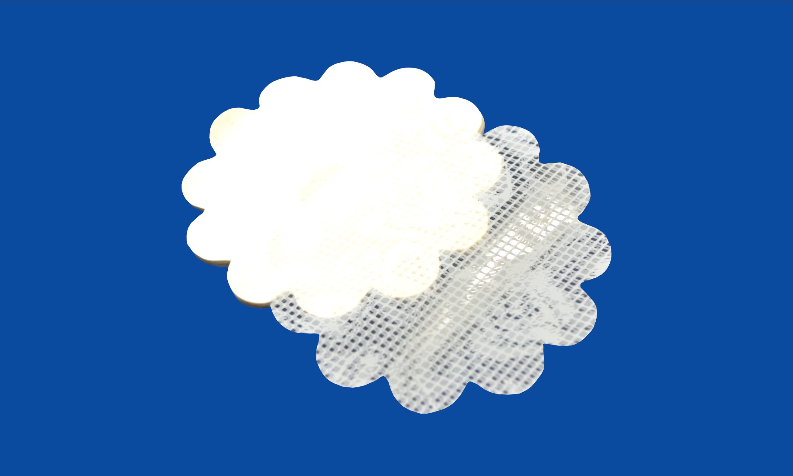 Fundo Rendado Branco Nº 9.JPG