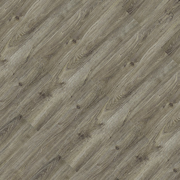 24021719 - Camomila.jpg