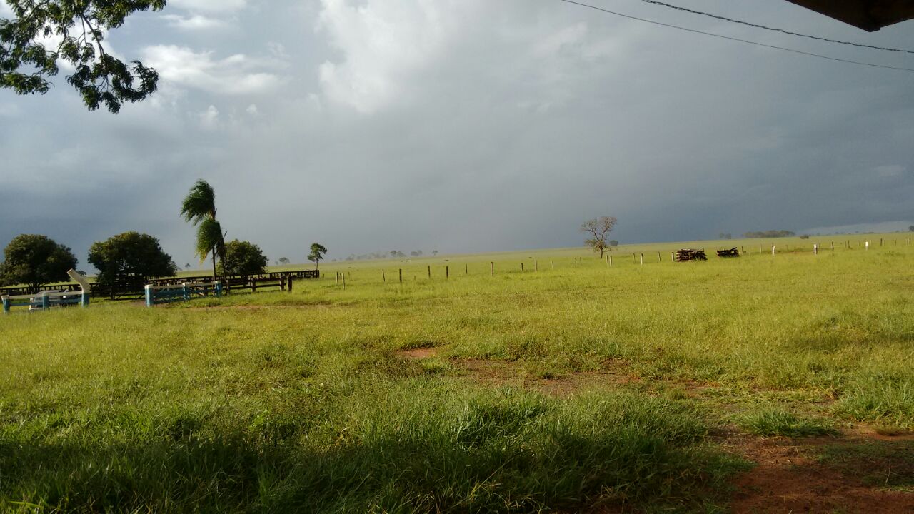 WhatsApp Image 2017-03-21 at 16.15.18.jpeg