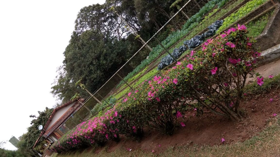 WhatsApp Image 2017-09-14 at 14.07.44.jpeg