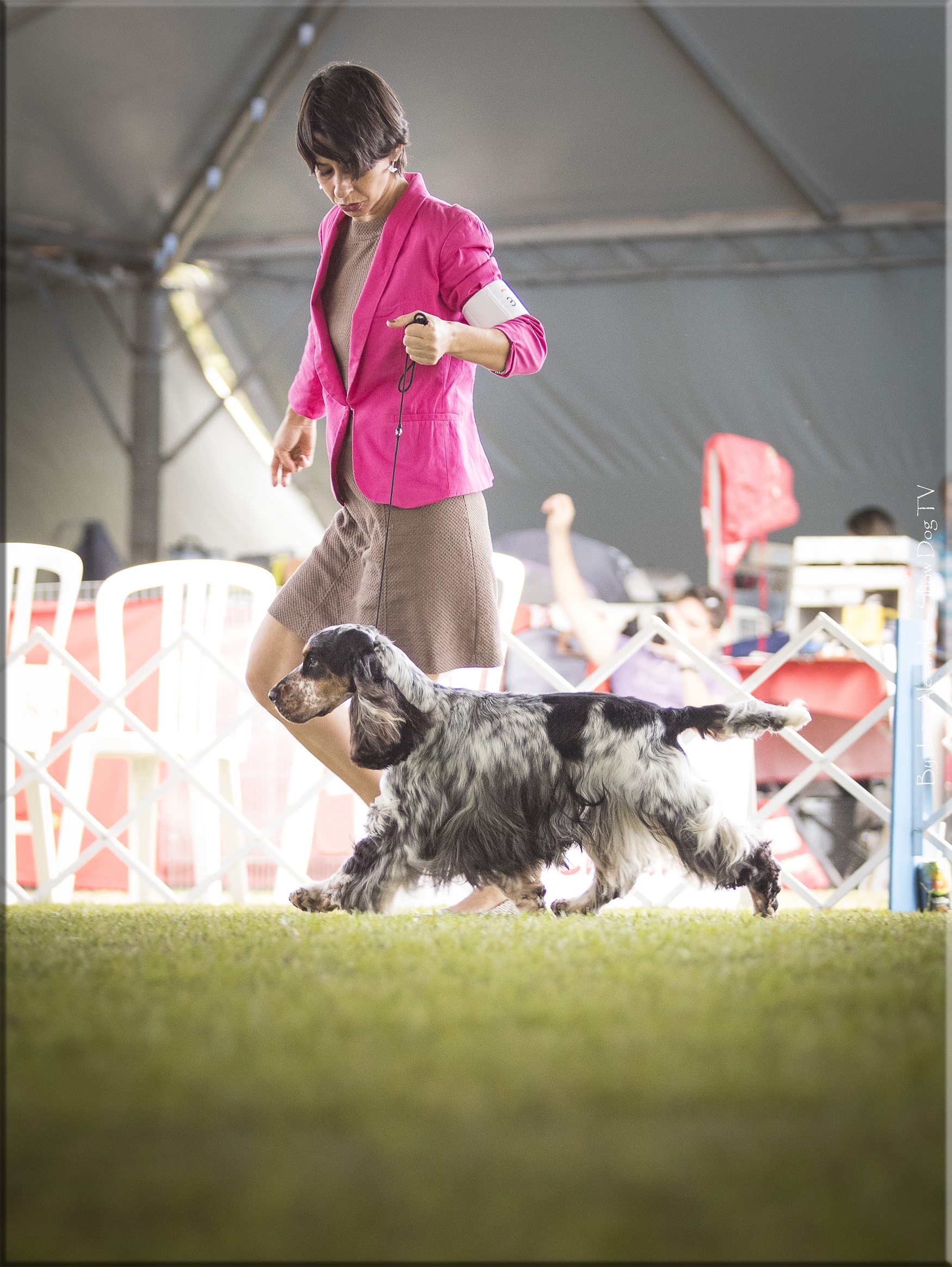 IMG_7777 copiarb.jpg