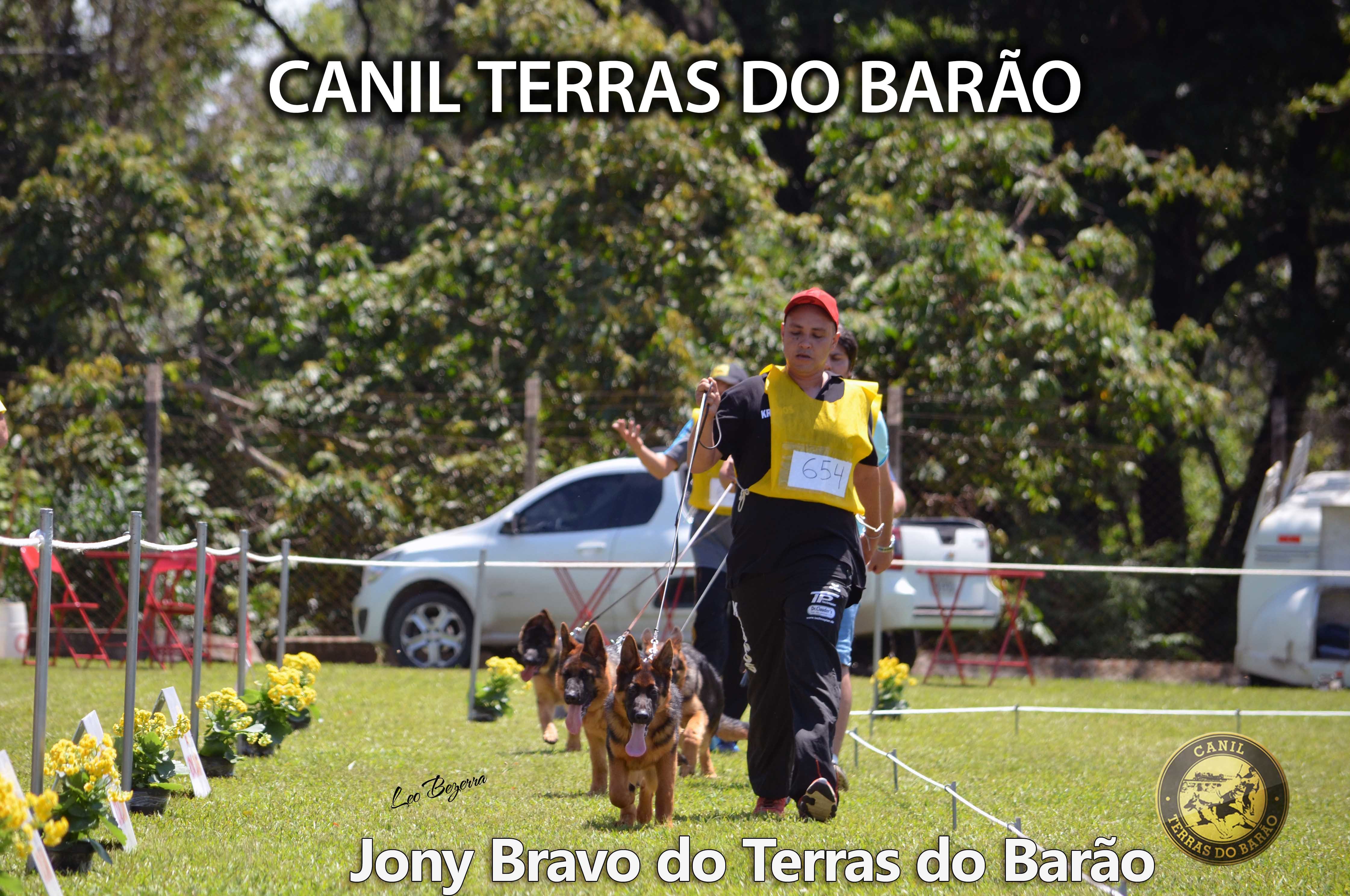 Jony Bravo Frontal.jpg