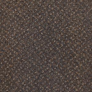 Baltimore - Five Stars Collection - 921 Castor.jpg