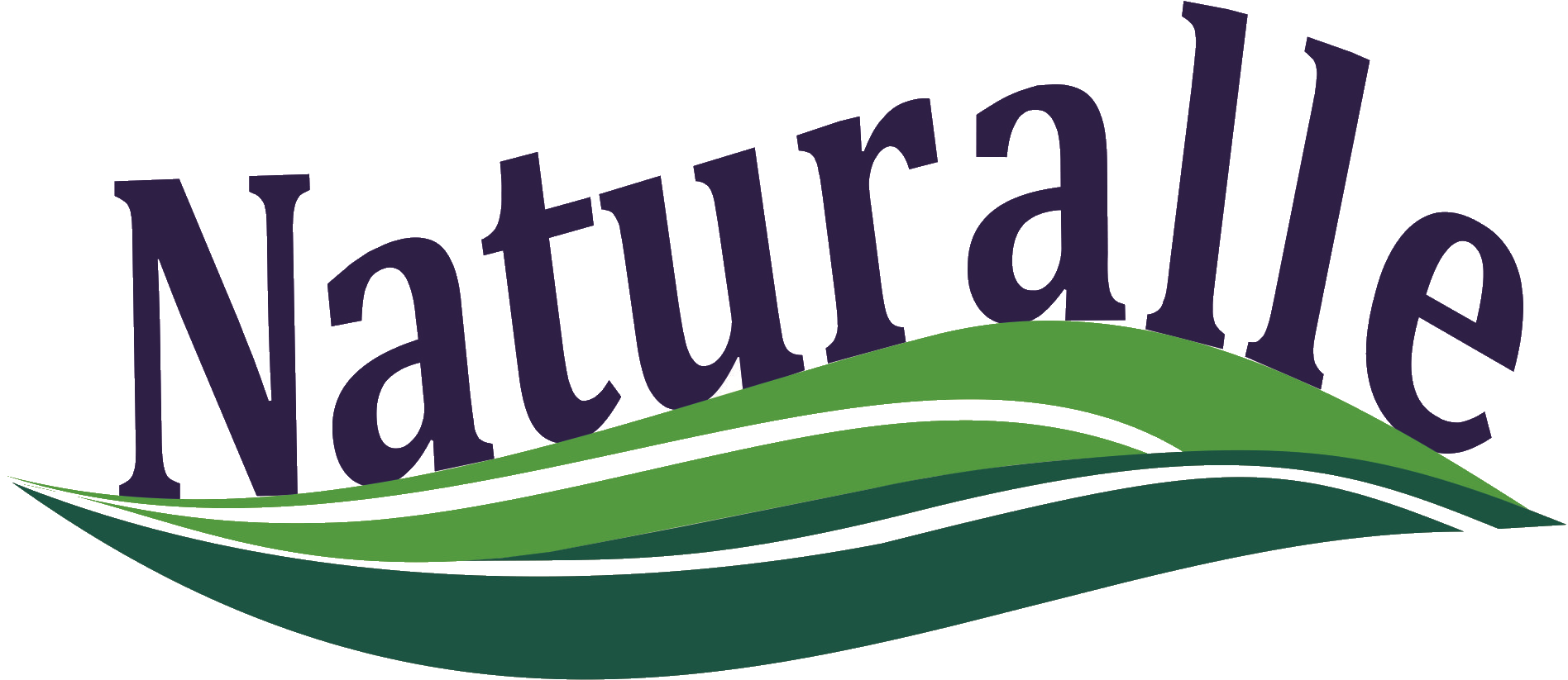 logo sem sol sem fundo.png