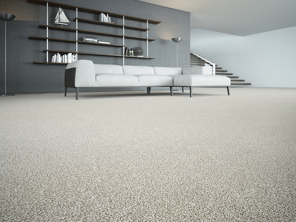 0 imagem principal 2.jpg