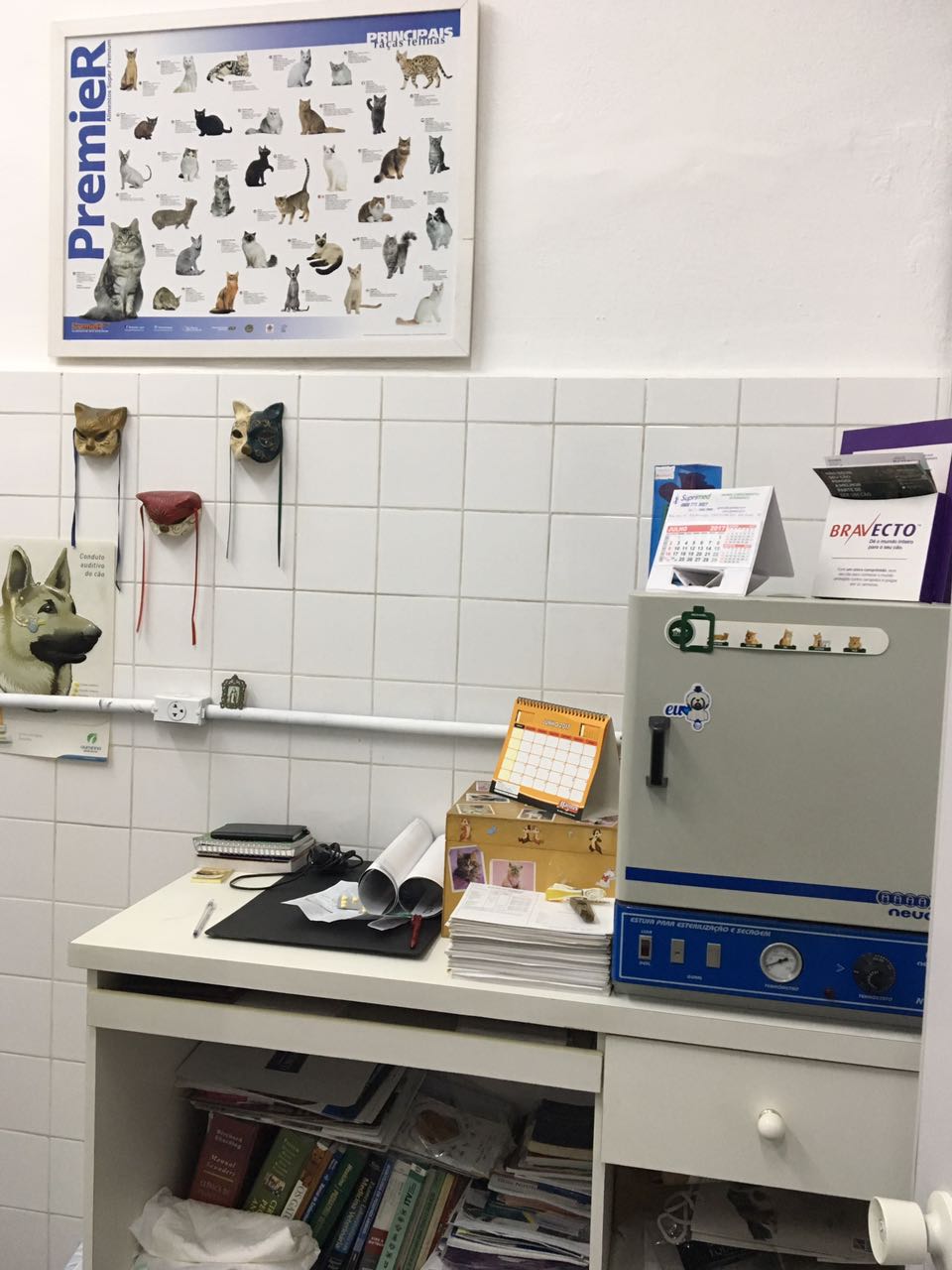 WhatsApp Image 2017-07-17 at 11.09.48.jpeg