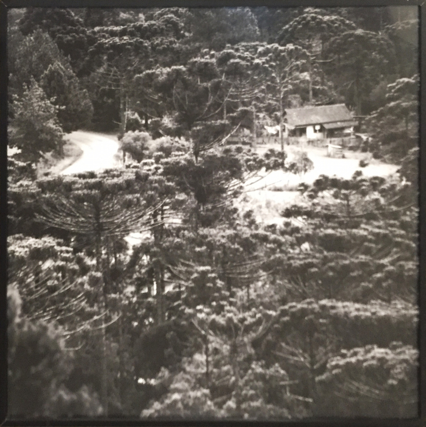 Orlando Azevedo 97x97 Fotografia.jpg