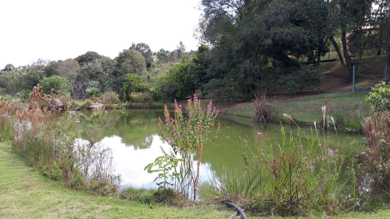 WhatsApp Image 2018-04-23 at 14.43.56.jpeg