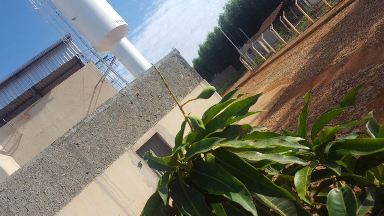 IndustriaEmbutidos09