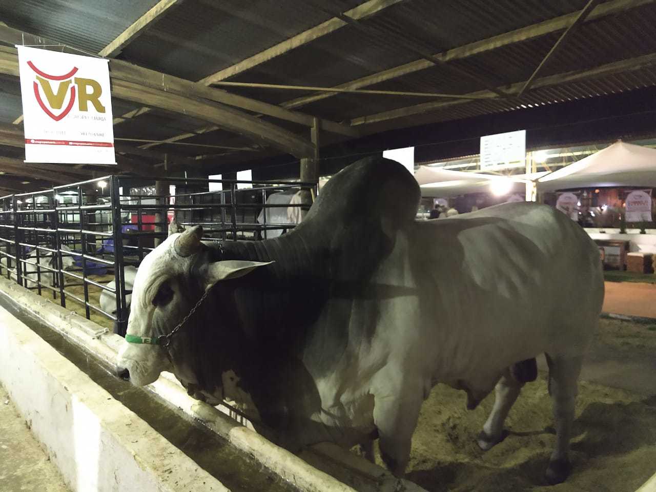 WhatsApp Image 2018-07-25 at 14.59.03.jpeg