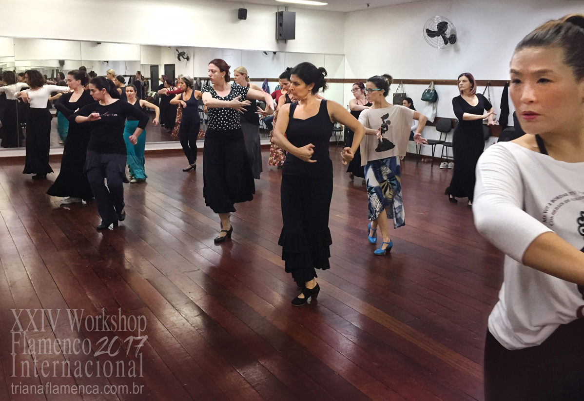 triana-flamenca-andrea-guelpa-workshop-flamenco-brasil