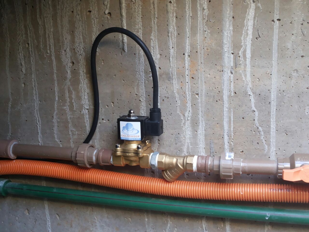 WhatsApp Image 2017-07-19 at 11.44.00.jpeg