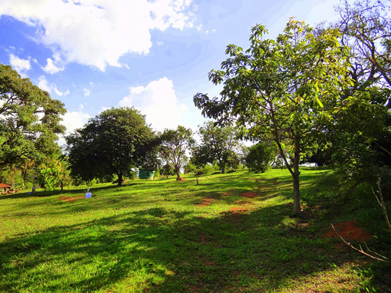 Clinica de recuperação de dependente químico em Atibaia.