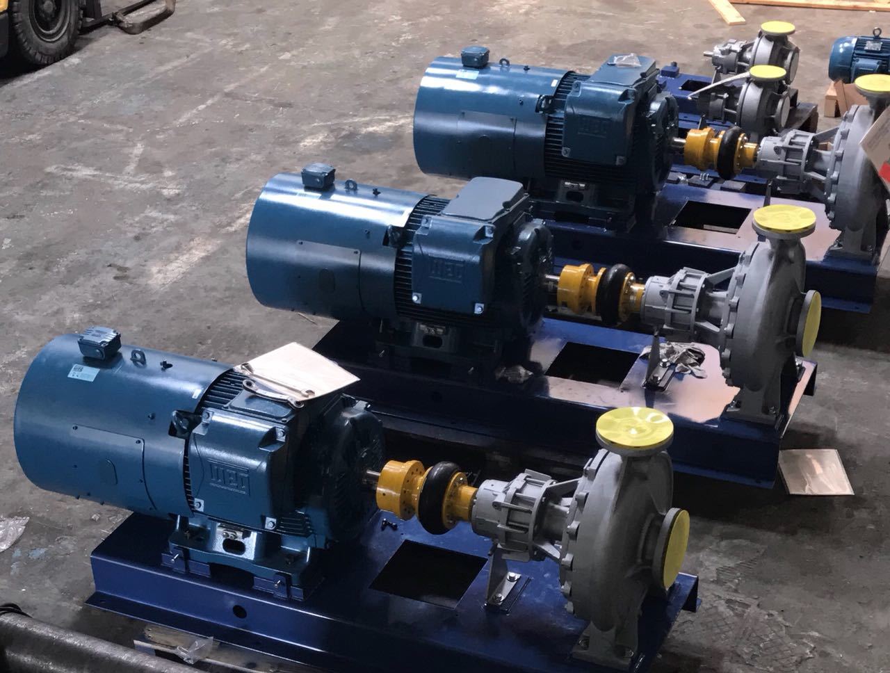 WhatsApp Image 2018-02-01 at 13.15.45.jpeg