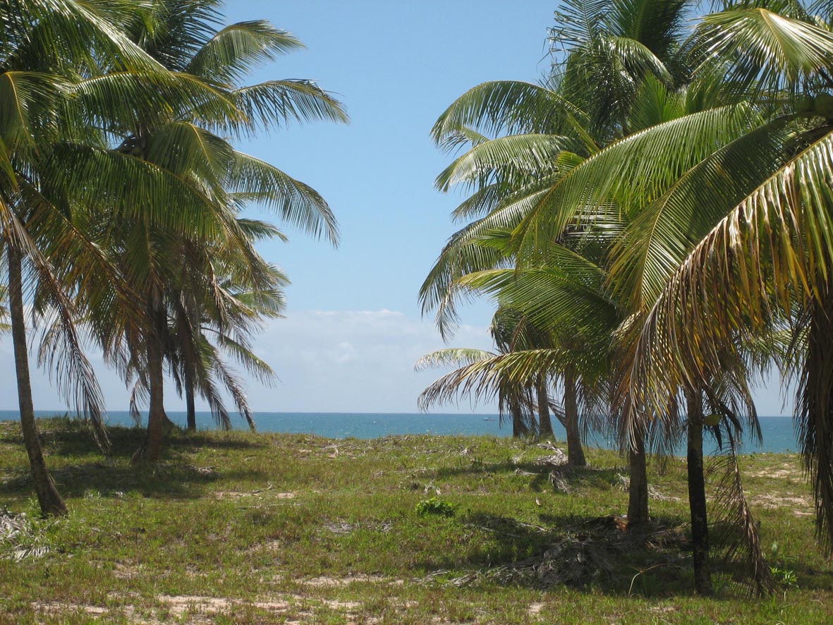 RESERVA MARAÚ_Imagem 058.jpg