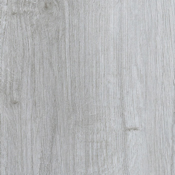 24037017 - Baunilha.jpg