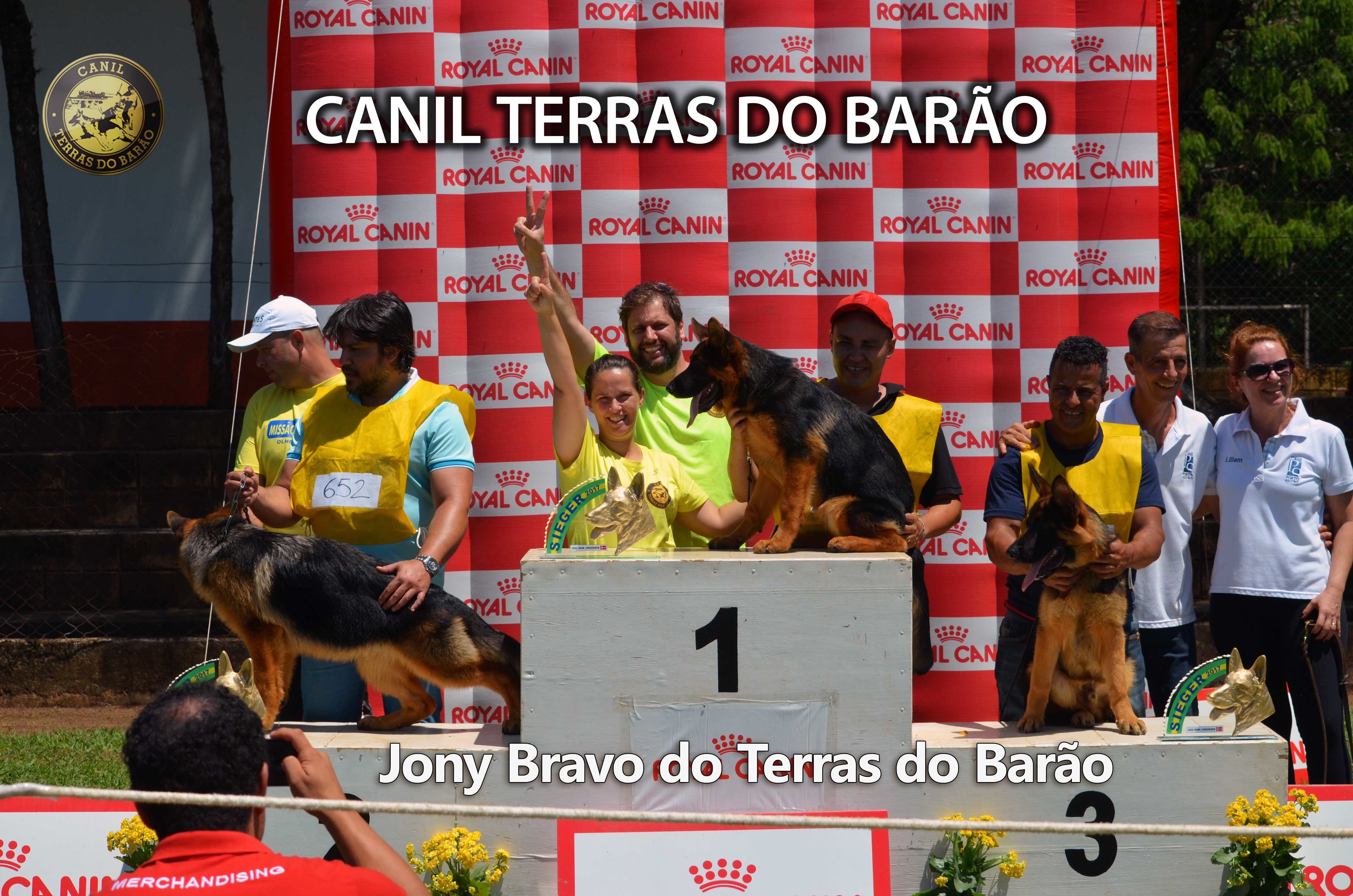 Jony Bravo Podio.jpg