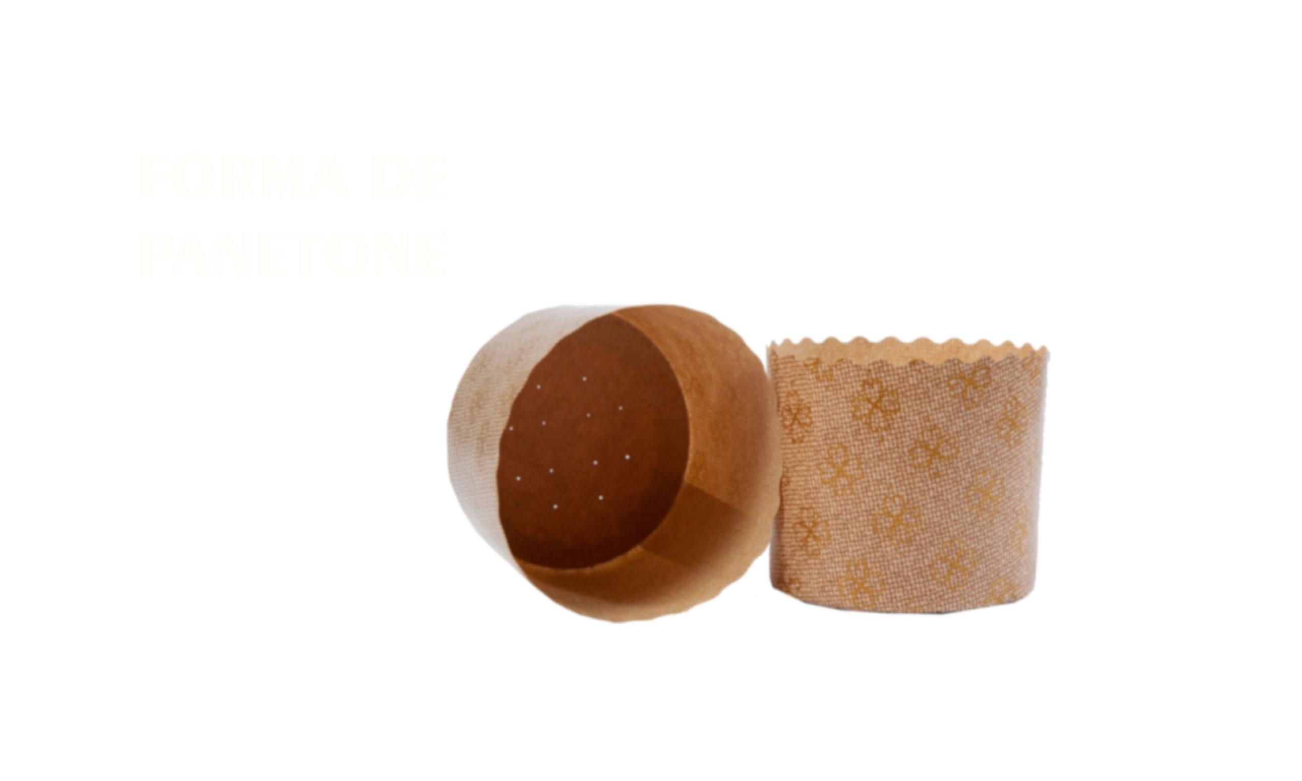 FORMA DE PANETONE.png