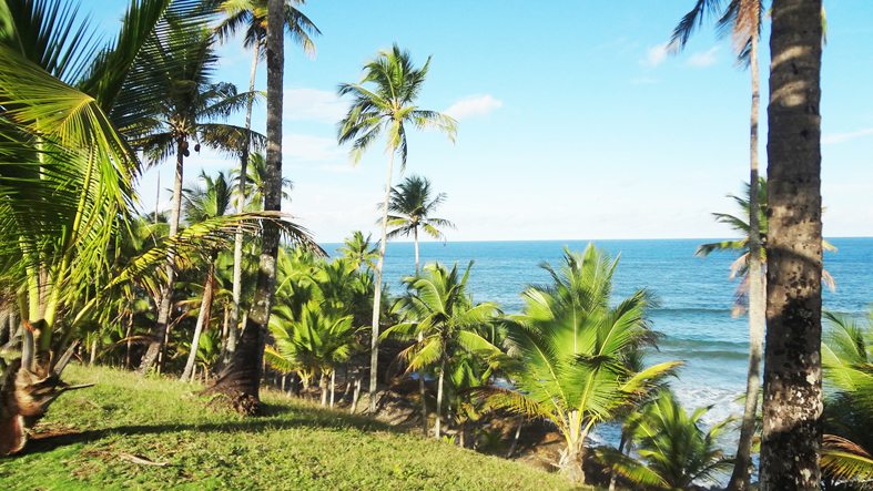 LEAO DE OURO_DSC02532.jpg