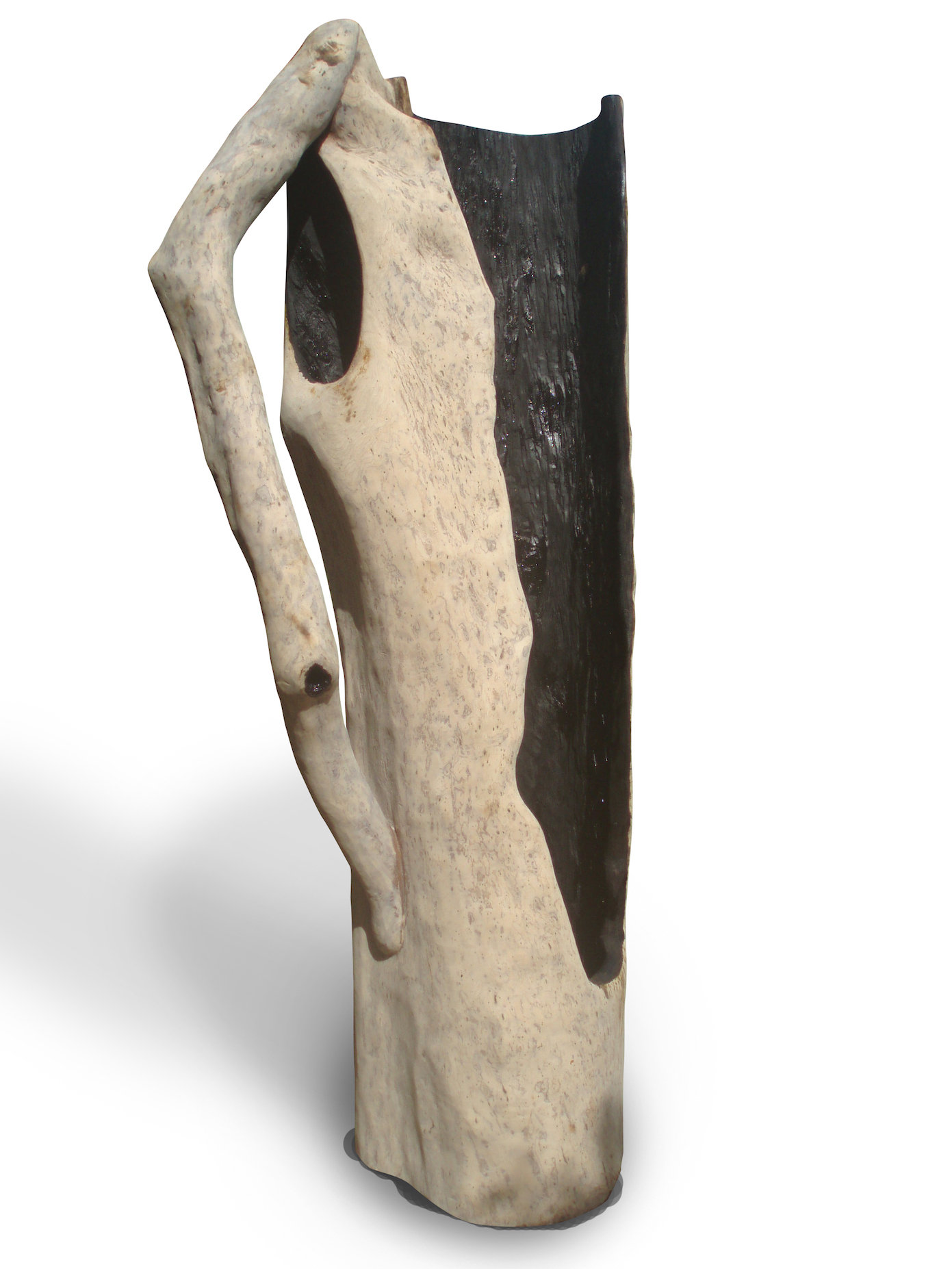 Frans Krajcberg Escultura em madeira 260x110x70.jpg