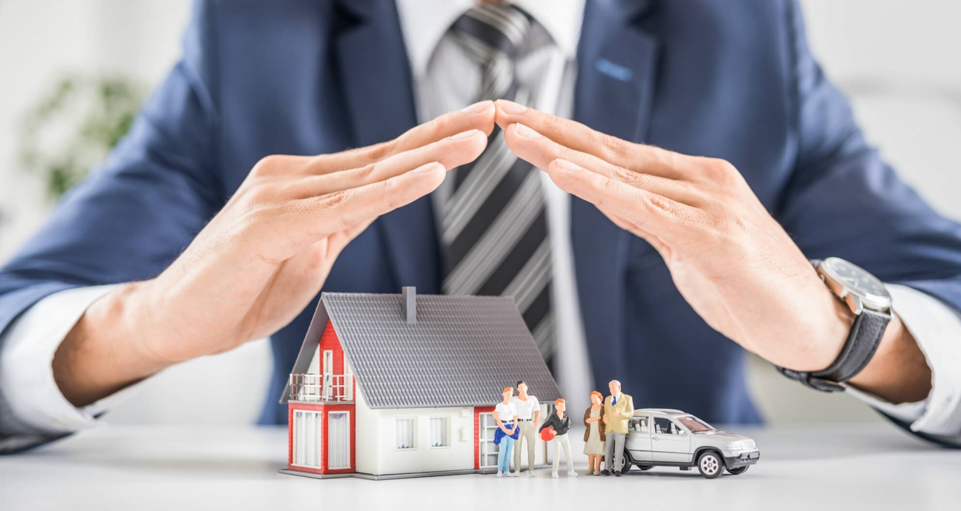 imagem principal.jpg