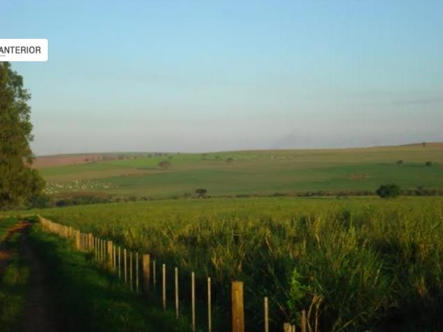 222528026360452 (1).jpg