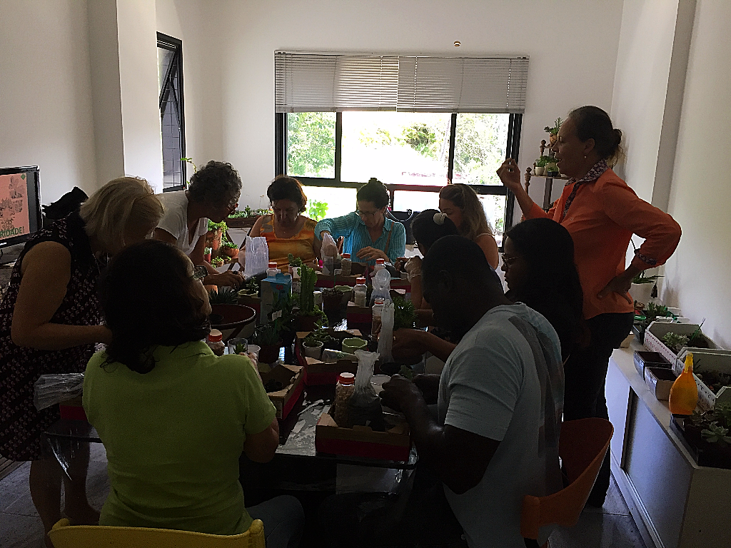 IMG_3677 - Copia.JPG