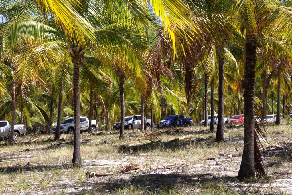 PICKUPS ENTRE OS COQUEIROS.jpg