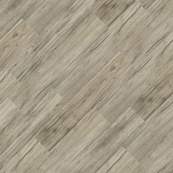 9344638 - Cambará.jpg