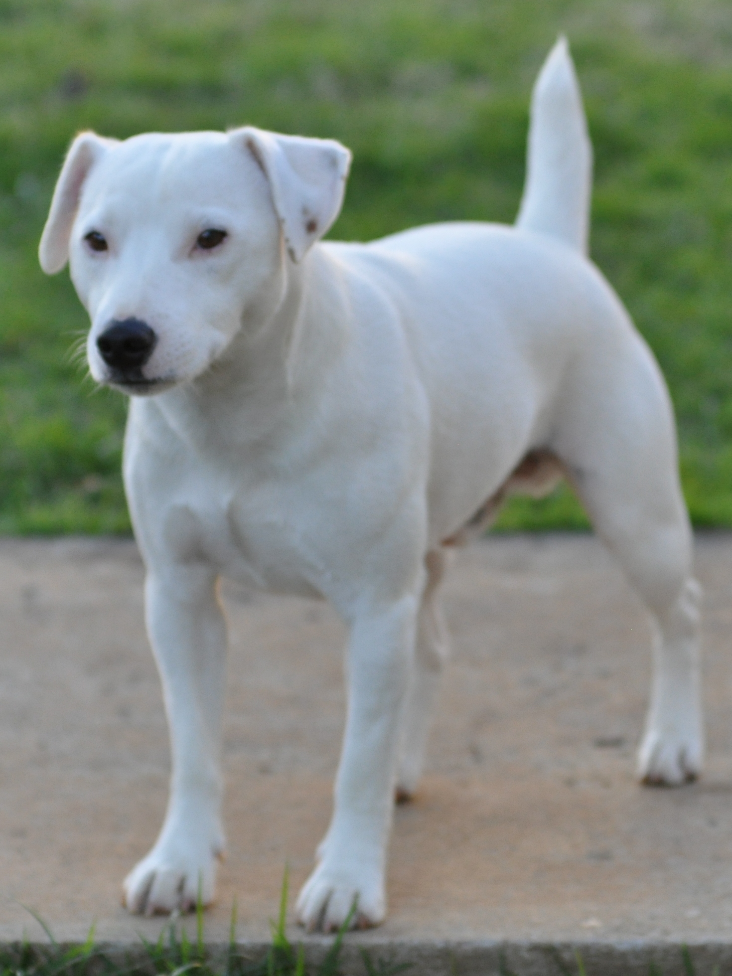 Scanner 2 - DSC_0520 site.jpg