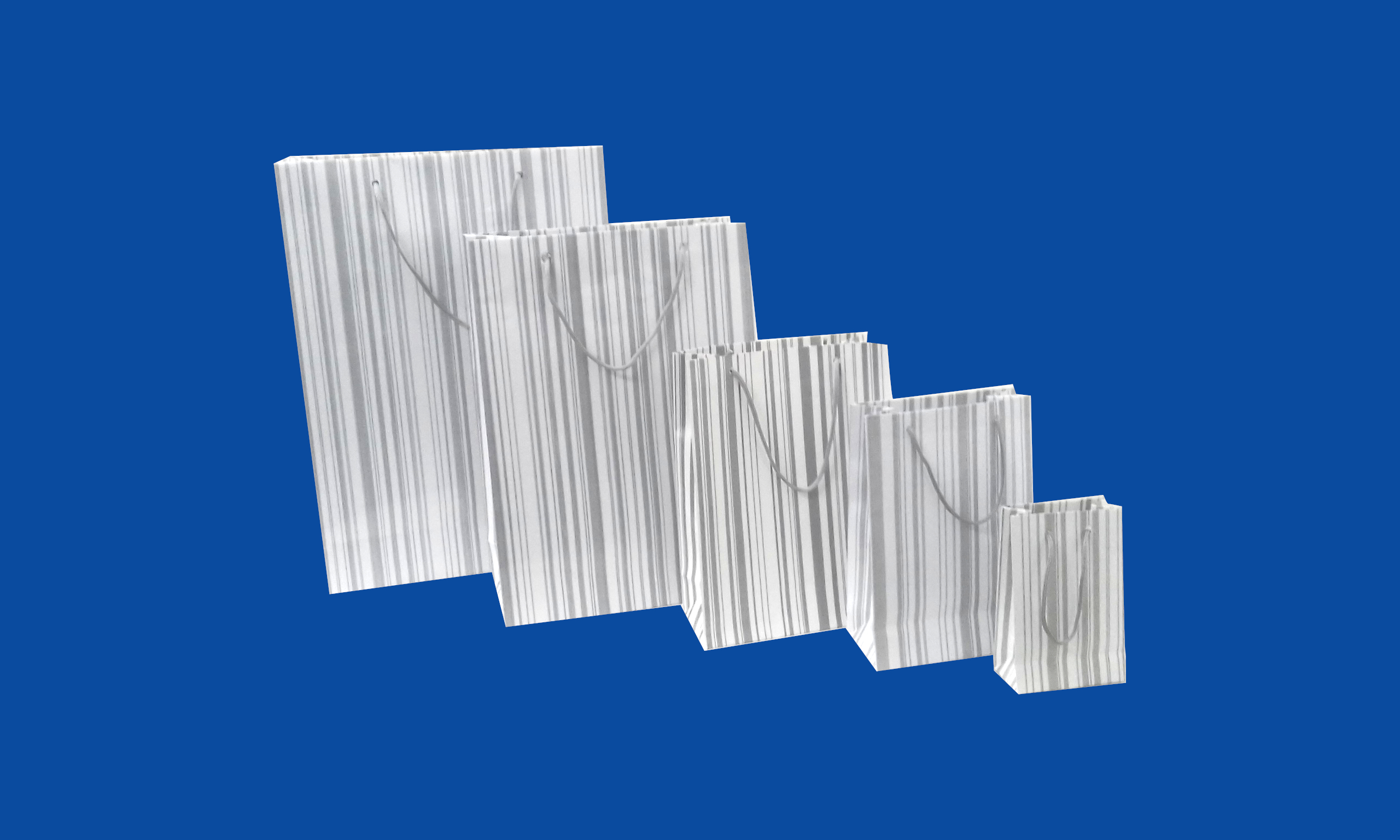 Conjunto Bolsa Boutique Listra.jpg