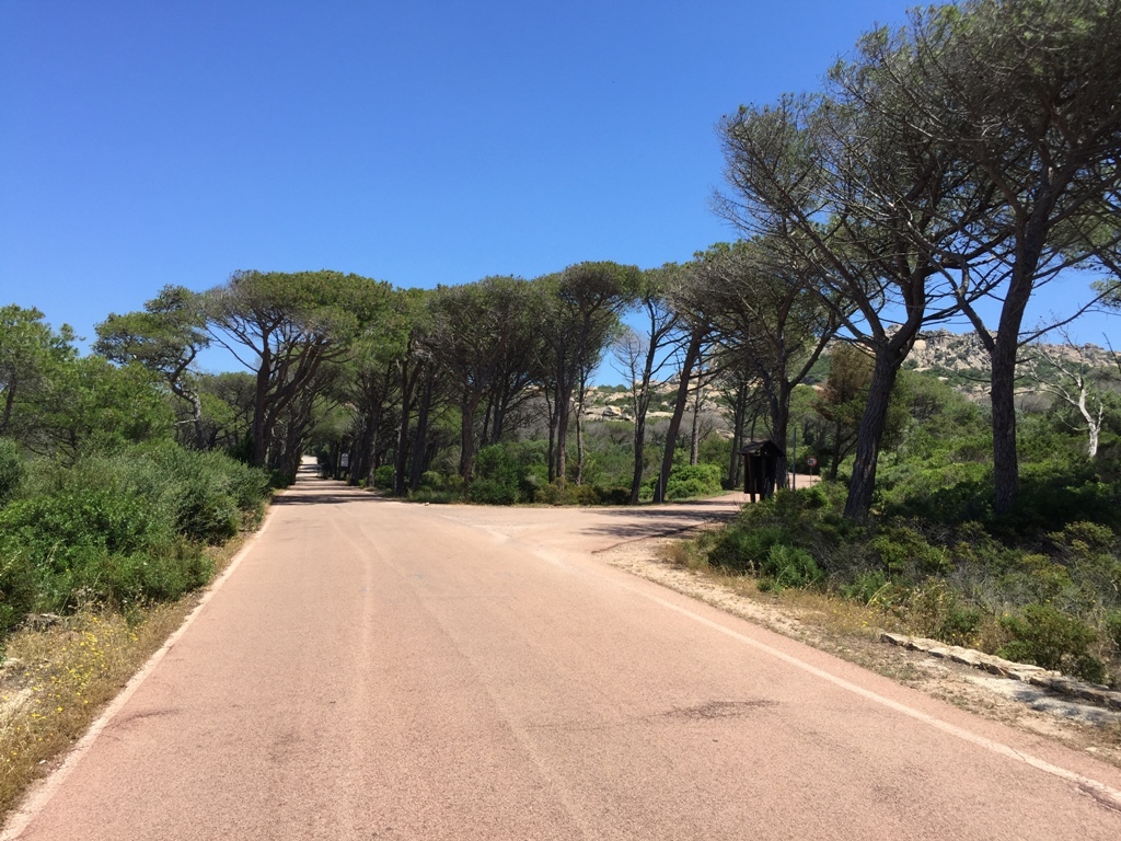 caprera7.JPG