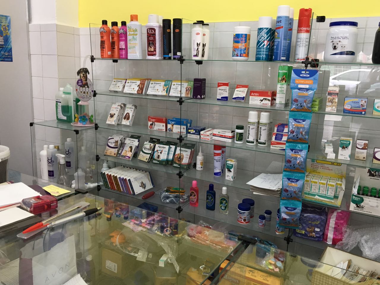 WhatsApp Image 2017-07-17 at 11.09.42.jpeg