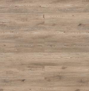 Hercules ( Autoportante ) 004 KW 6053 Bow.jpg