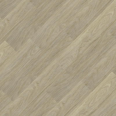 Essence Liso - 9346662 Fava.jpg