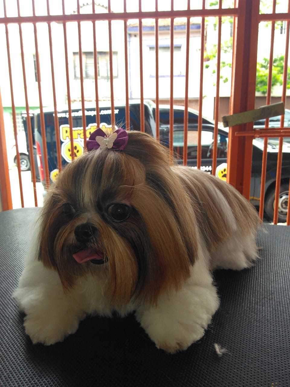 WhatsApp Image 2018-03-17 at 13.50.08.jpeg