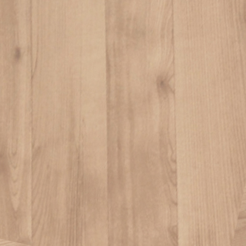 Absolute Madero - 9247649.jpg