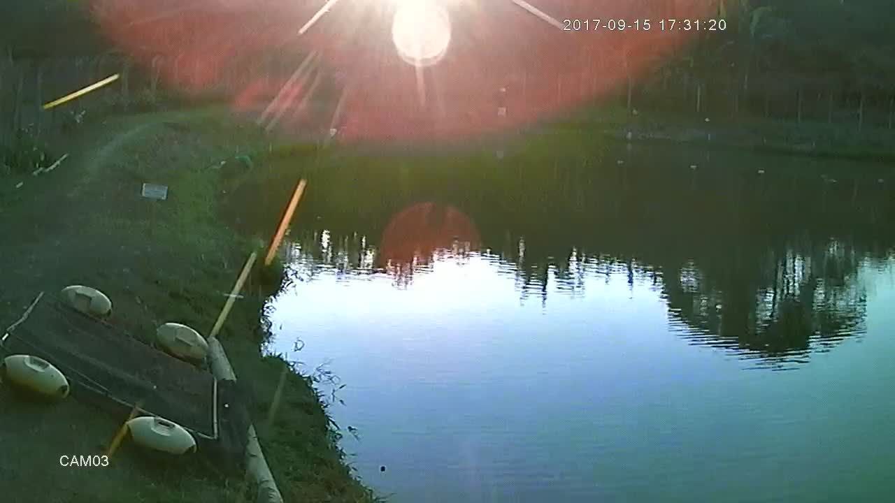 WhatsApp Image 2017-11-20 at 22.18.52 (2).jpeg