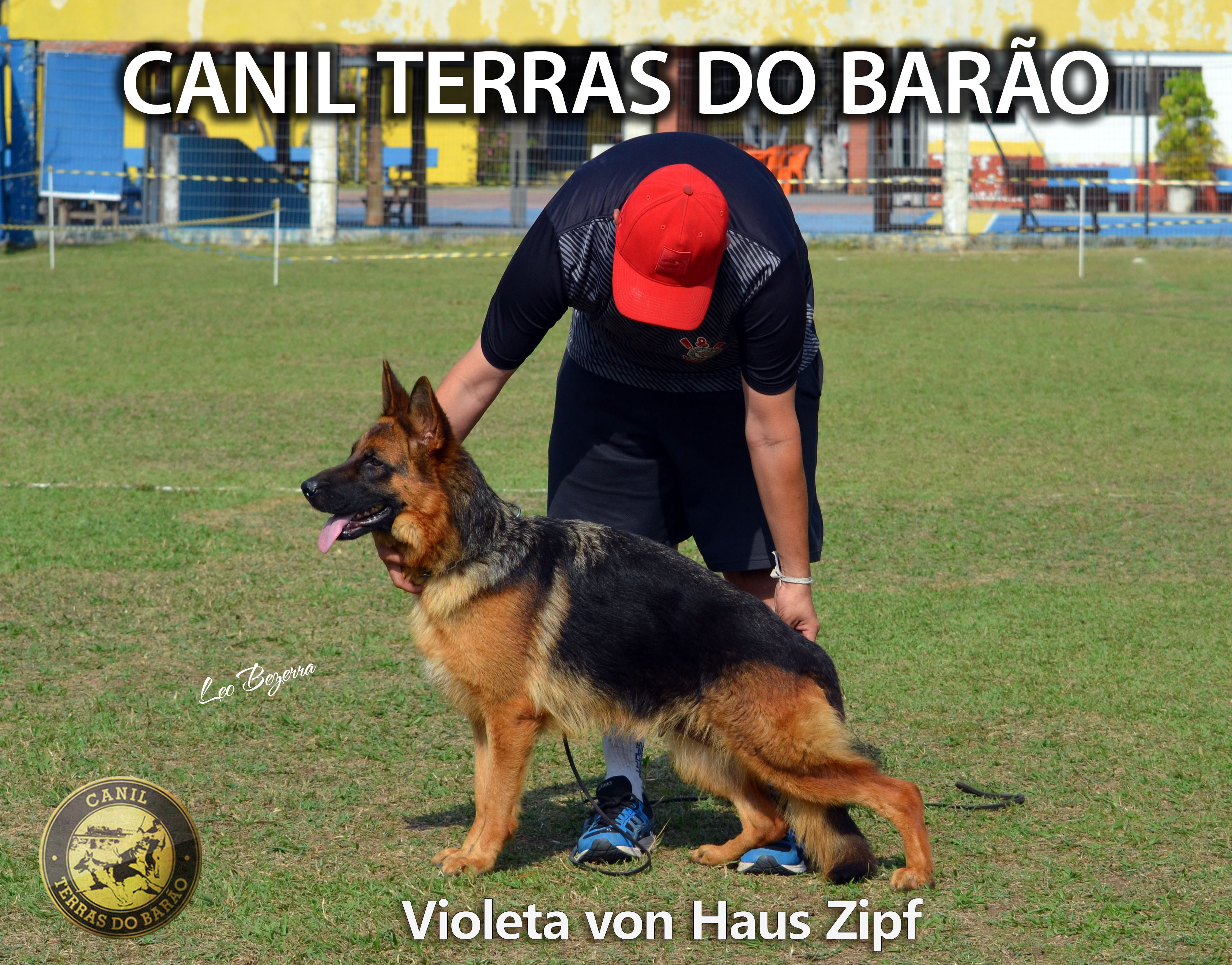 Violeta von Haus Zipf.JPG