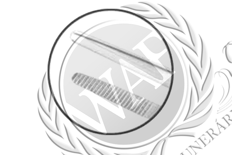 Pinça Dissecção Anatômica  Marca.png