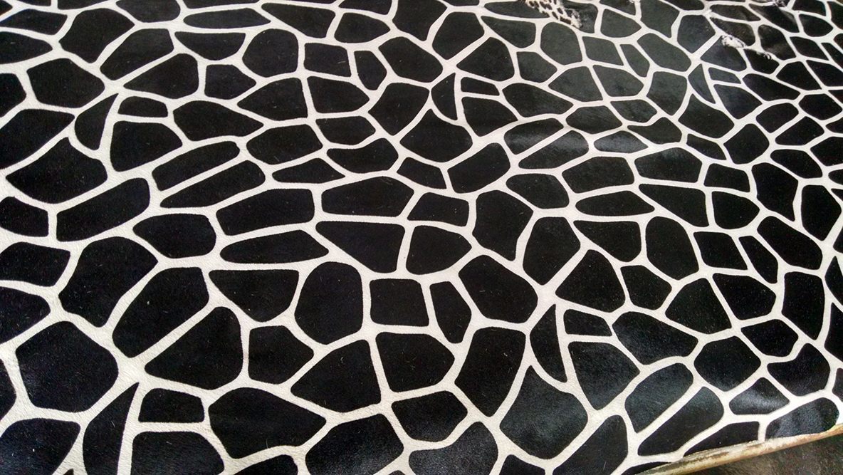 13161014_1392532697429386_404509009_o (1).jpg