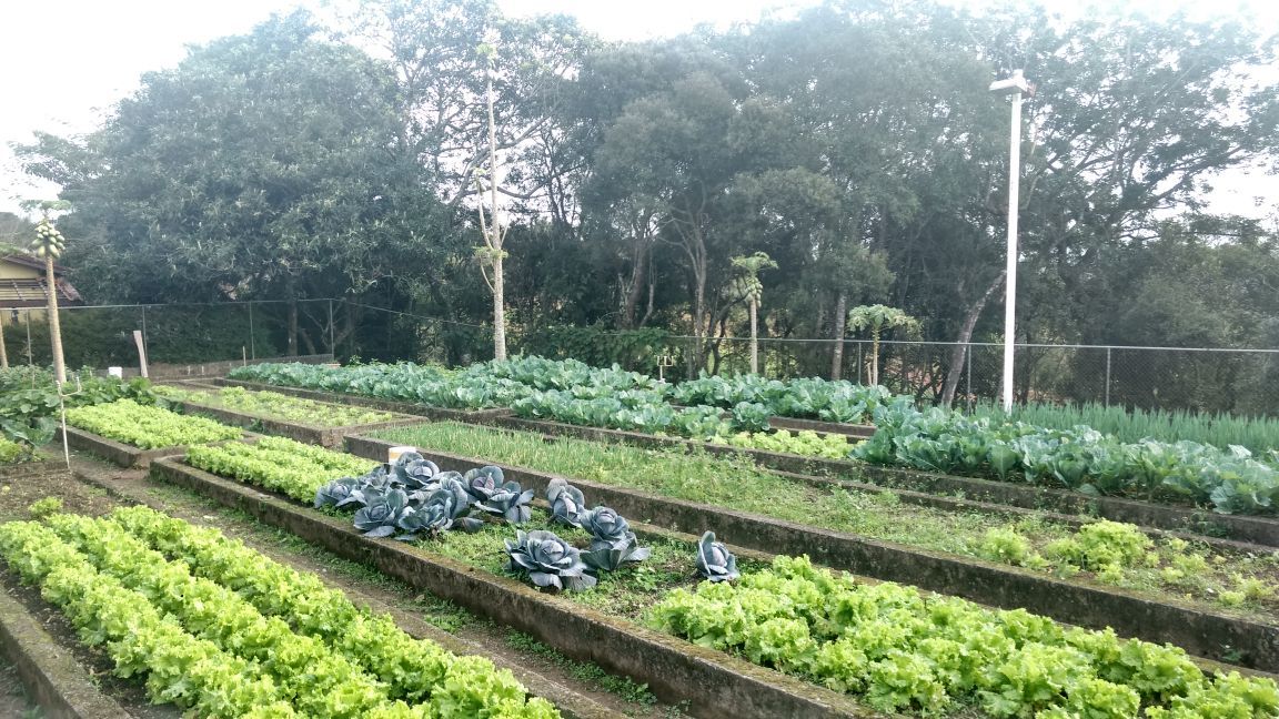 WhatsApp Image 2017-09-14 at 14.07.40.jpeg