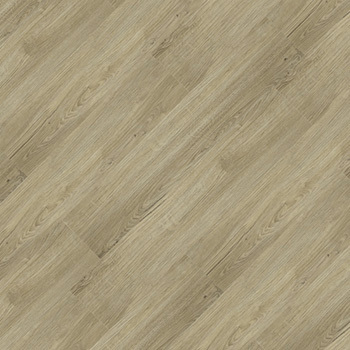 9329619 - Acácia.jpg